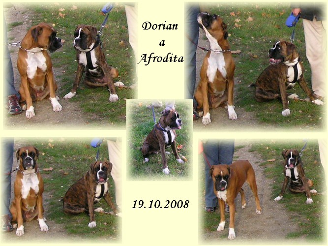 200810 Dorian 05.jpg