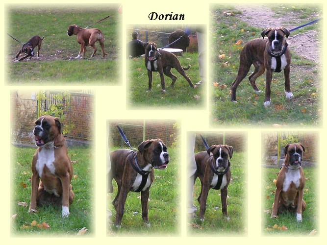 200810 Dorian 09.jpg